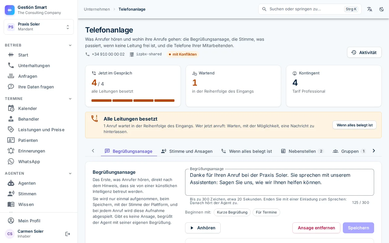 Ansicht der Telefonanlage im Panel mit den gebuchten Nummern und dem jeweils zugewiesenen Agenten.