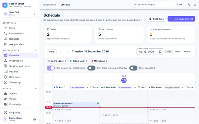 Panel calendar with one column per professional and appointments spread across the hours