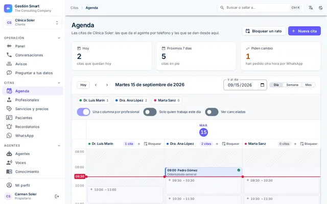 Agenda del panel con una columna por profesional y las citas repartidas por horas